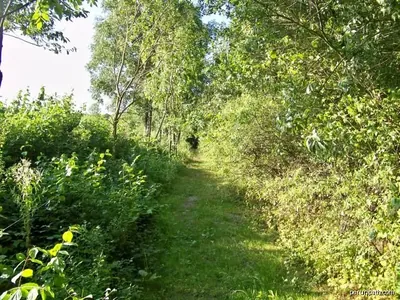 Trasa zielona