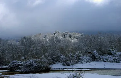 Dehesa del agua