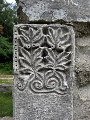 Combe du Renard - Chalon