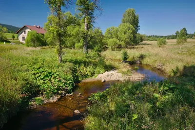 [M] Bedřichovka - Rozdroże nad Lasówką