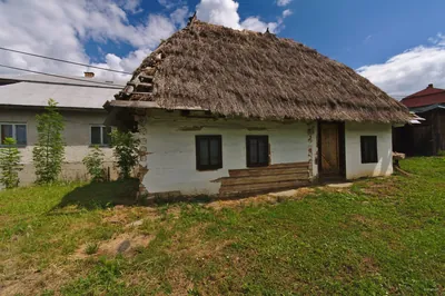 Transgraniczna ścieżka przyrodnicza Wielka Rawka - Nova Sedlica "Niedźwiedź brunatny"