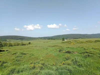 Grande Traversée du Massif Central à VTT - Domaine du Sauvage / Baraque des Bouviers