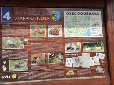 6259 Doubrava