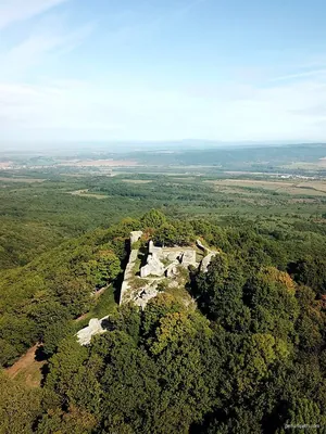 P+ (Drégelypalánk – Drégelyvár-erdő)