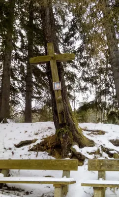 Biketrail Vrbno