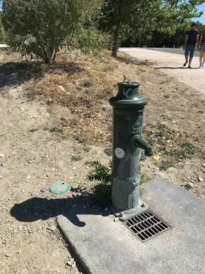 Balade de l'île de la Barthelasse à vélo