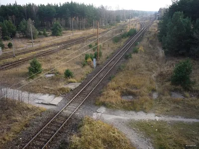 Dębowcówka