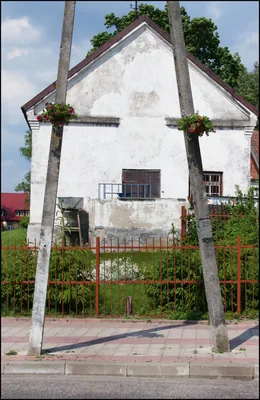 Na skraju puszczy