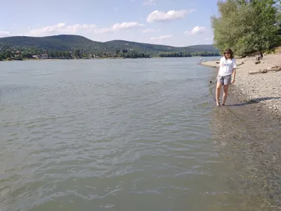 Z (Szentendre, Szarvashegytelep aut. m. – Pilisszentlászló – Visegrád)