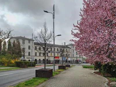 Szlak Początków Hutnictwa