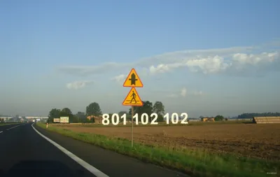 Do rezerwatu Dęby w Meszczach