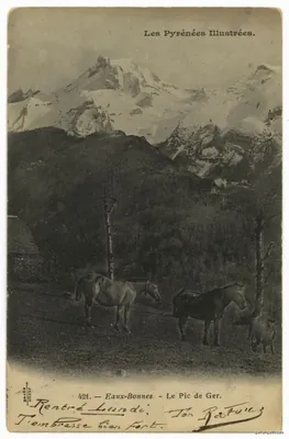 Pic de Ger-les Eaux Bonnes