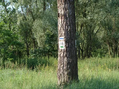 Rowerowa niebieska