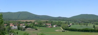 Egaules