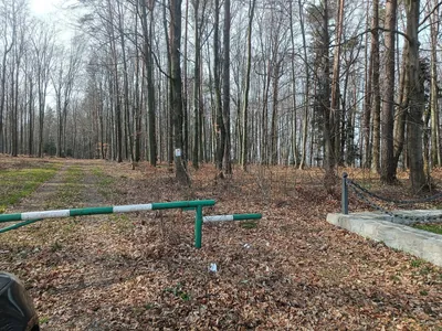 Łękawka Piotrkowice - Rychwałd Zagórze