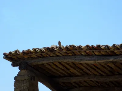 Aubaga-solana. Espai d'Interés Natural Protegit de la Vall del Riu Llobregós