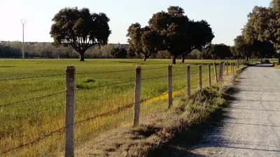 Camino del Adaja