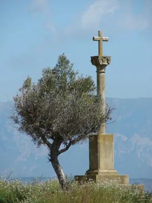 Camino Natural de Loreto y el Canfranero