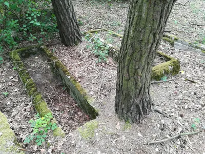 Szlak Powstania Wielkopolskiego