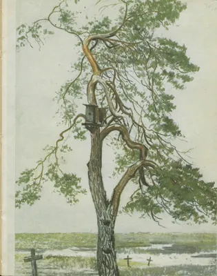 Szlak Trzech Młynów