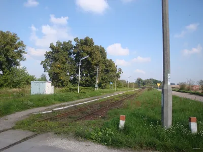 Ryńsk - Firlus