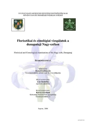 Z▲ (Nagy-hegy)