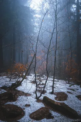 Jablonec nad Nisou - Berany