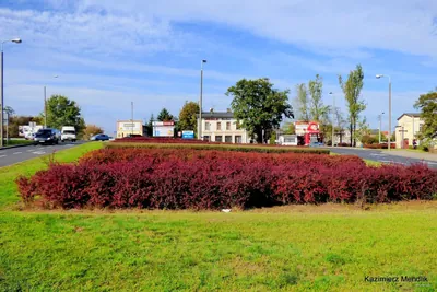 Rowerowy Szlak Przyjaźni Toruńsko – Bydgoskiej