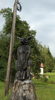 Stezka dřevosochání