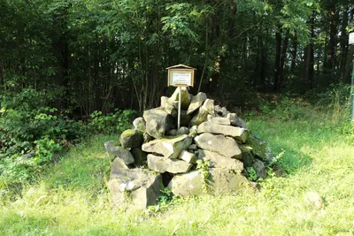 Městský okruh - modrá