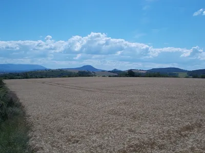 Z+ (Bajót – Panoráma út – Látó-erdő)