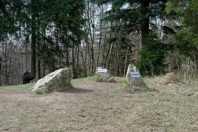 Żółty szlak narciarski