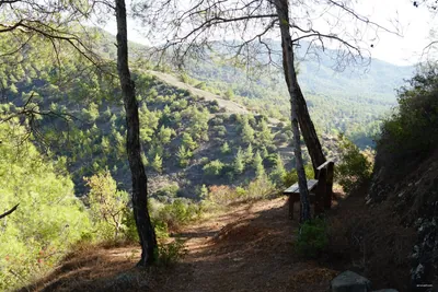 Gialia Nature Trail