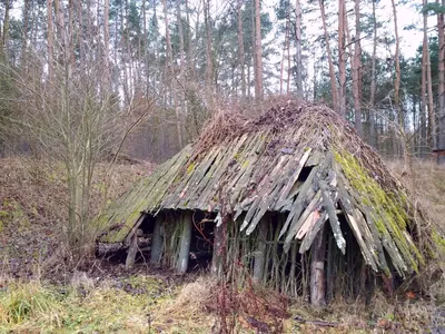 Ścieżka przyrodniczo-leśna „Dolina rzeki Gąsawki”