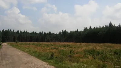 Szlak Południowy