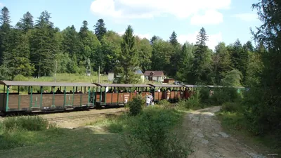 Lesnícky náučný chodník Udava - Solinka