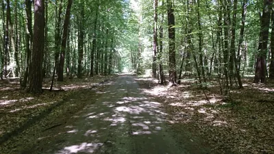 Szlak rowerowy zielony ”Zielona Jedynka”