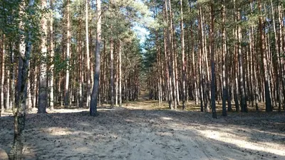 MTB Przyłęk