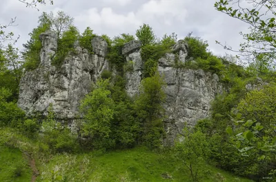 Przybysławice - Dolina Kluczwody (północ)