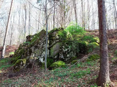 Transjurajski Szlak Konny