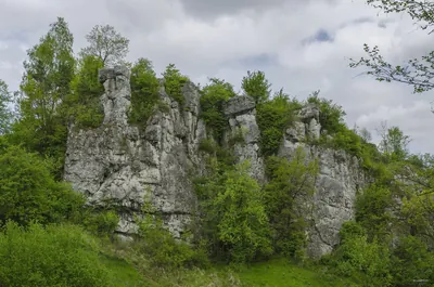 szlak spacerowy Dolina Kluczwody
