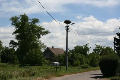 Świdnica – Miłochów