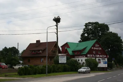 Podgórzyn Dolny - Czarna Przełęcz