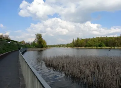 Szlaki rowerowe powiatru gnieźnieńskiego - szary