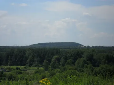 niebieski [483]