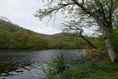 Les Gorges de la Sioule