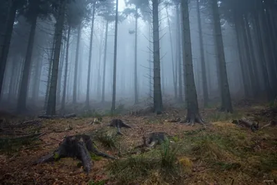 Kompleks Soboń