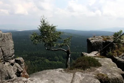 Trasa turystyczna im. Franciszka Pabla