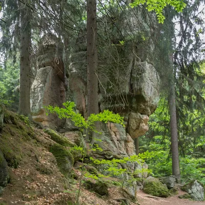 Wambierzyce - Radków - Radkowskie Skały