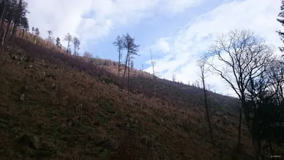 Sokołowsko, ul. Główna – Przełęcz Sokołowska
